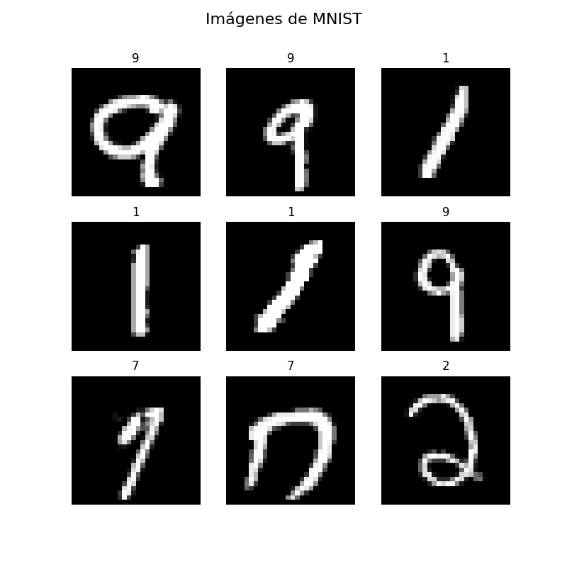 Muestras aleatorias de dígitos de MNIST